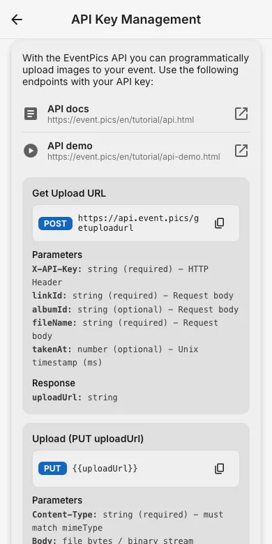 API key management page with masked key and copy button