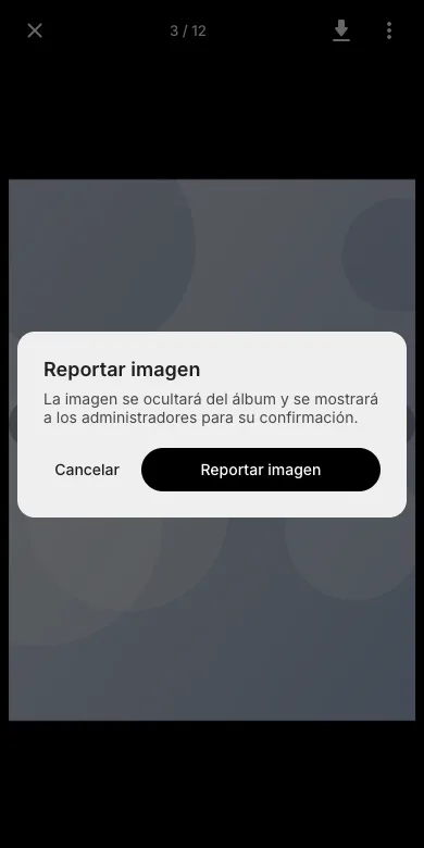 Confirma la denuncia