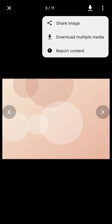 Fullscreen photo menu with report content entry